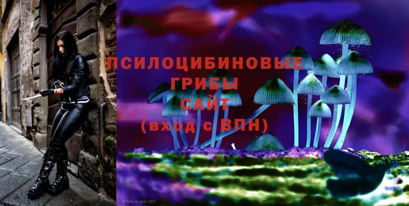 Псилоцибиновые грибы Magic Shrooms  Баксан 